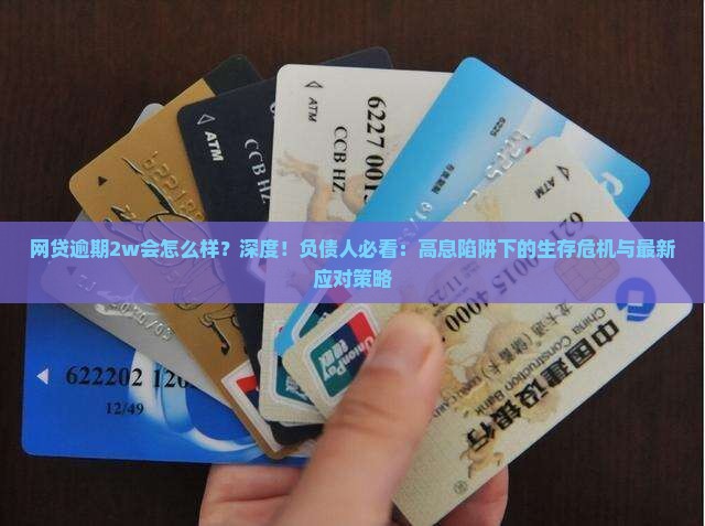 网贷逾期2w会怎么样处于怎样的风险状态