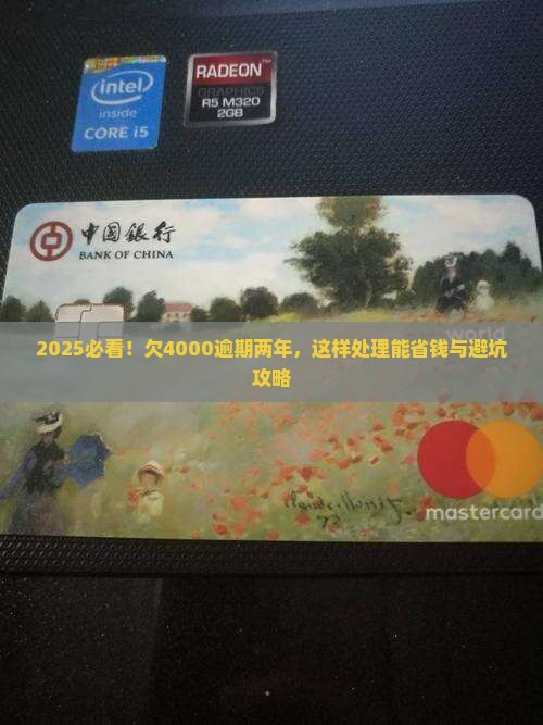 白条欠了4000块逾期两年应该怎么处理