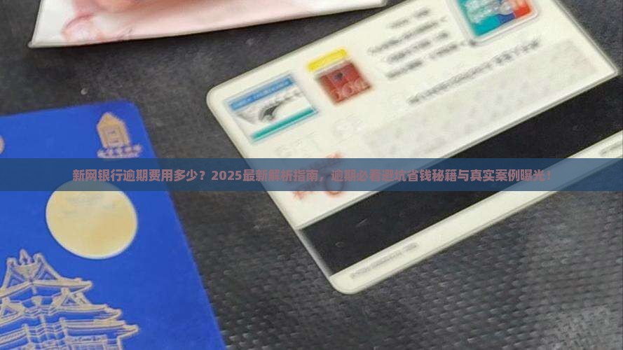 新网银行逾期费用多少