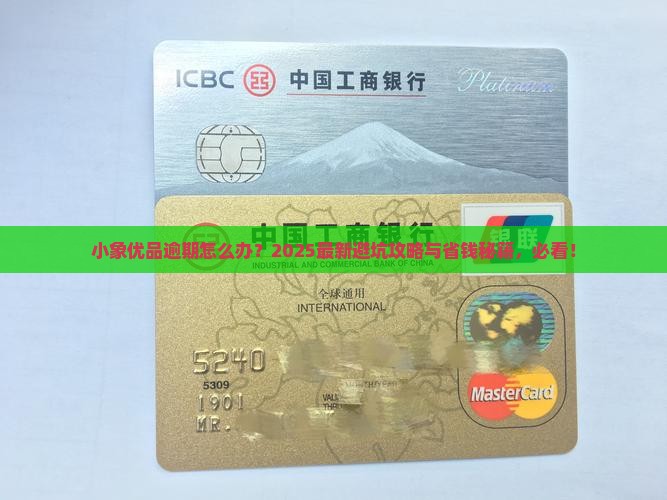 小象优品逾期过程怎么办才好