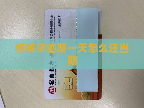 恒易贷逾期一天怎么还当期