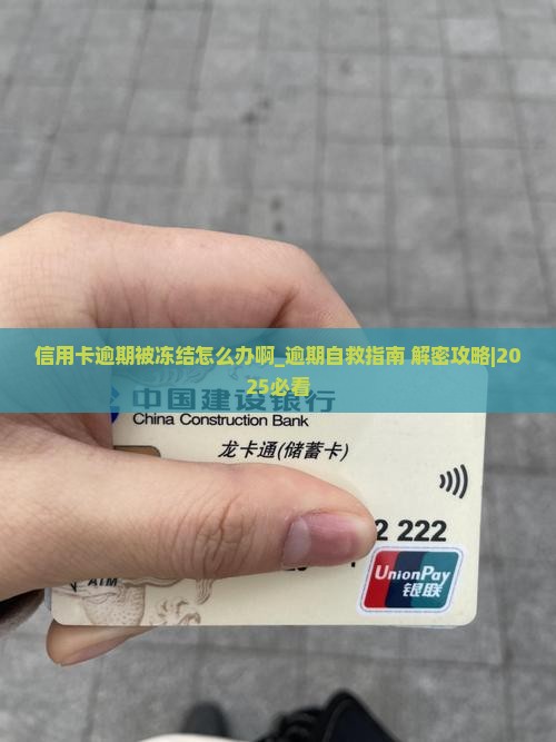 信用卡逾期被冻结怎么办啊