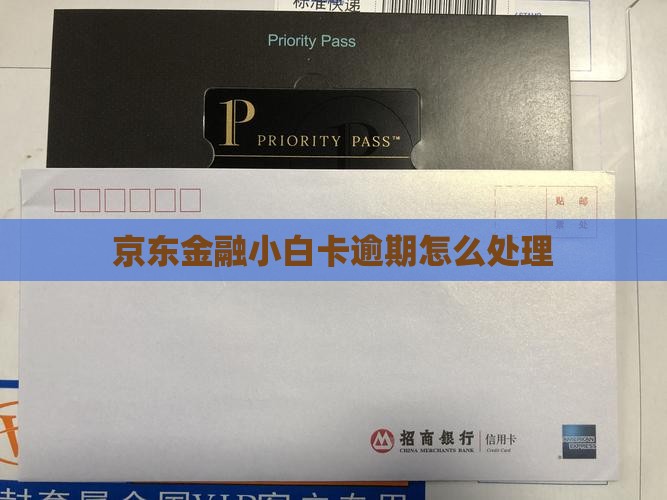 京东金融小白卡逾期怎么处理