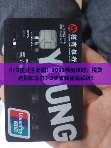 微众银行企业税贷逾期怎么办