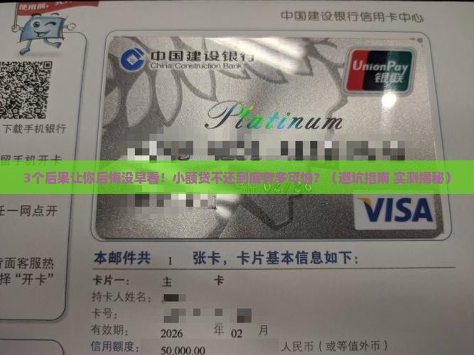 不合理小额贷不还后果严重吗