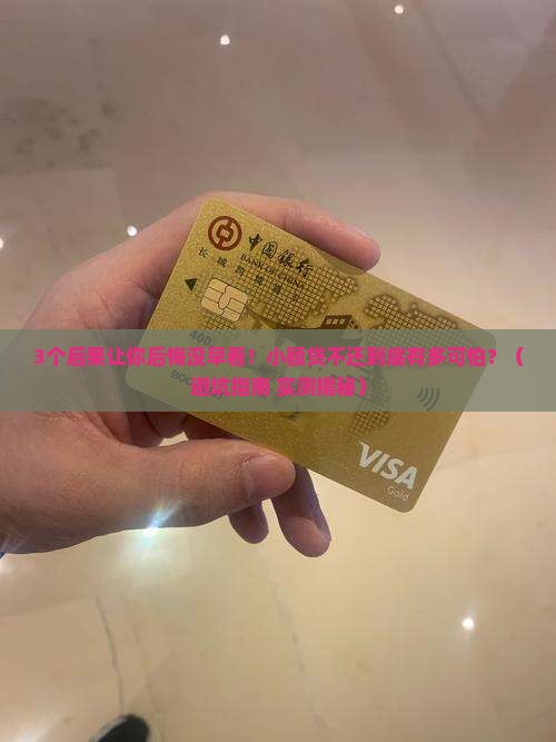 不合理小额贷不还后果严重吗