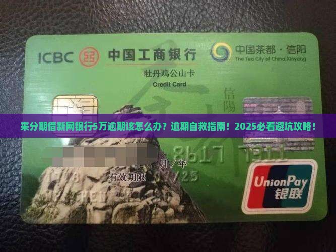 来分期借新网银行5万逾期该怎么处理