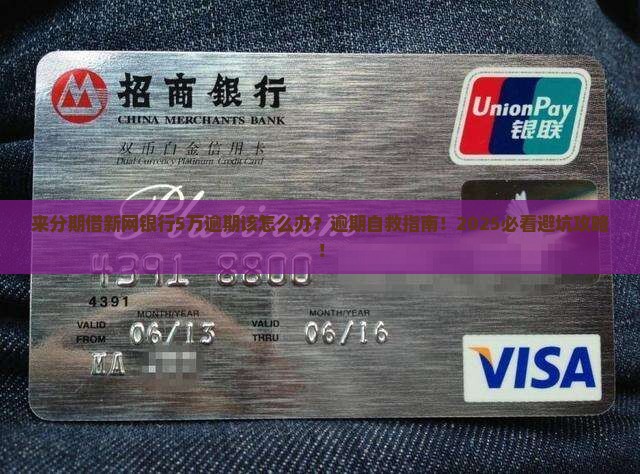来分期借新网银行5万逾期该怎么处理