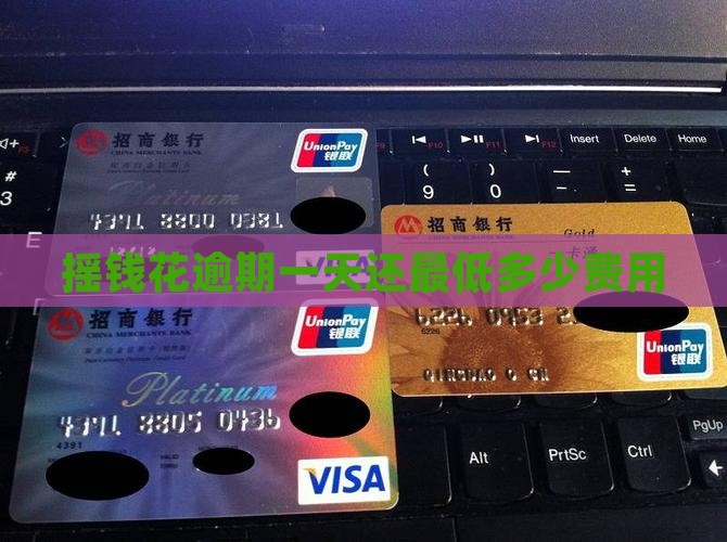 摇钱花逾期一天还最低多少