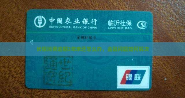 长银消费逾期2年未还怎么办
