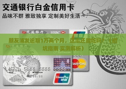 朋友浦发逾期1万2个月怎么办