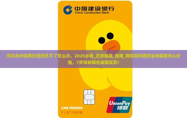 河北农村信用社暂时还不了怎么办