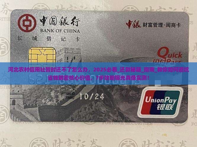 河北农村信用社暂时还不了怎么办