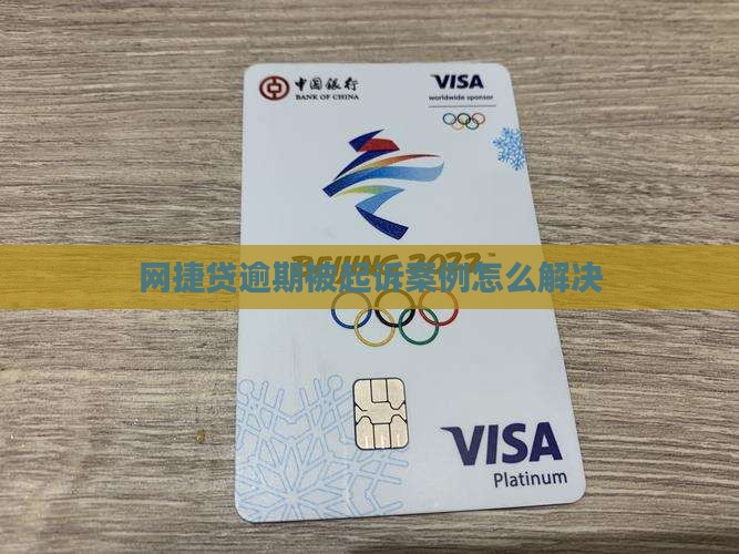 网捷贷逾期被起诉案例怎么解决