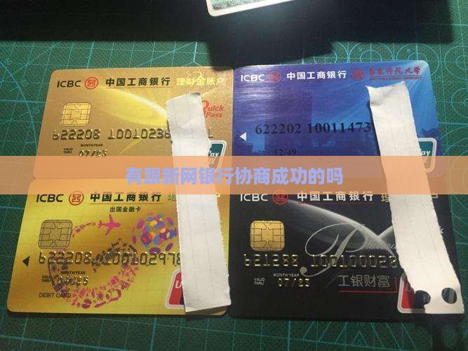 有跟新网银行协商成功的吗