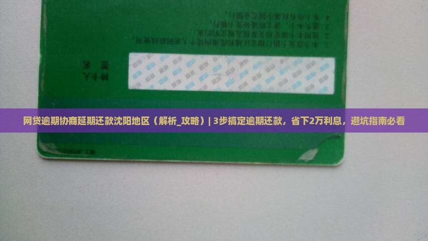 网贷逾期协商延期还款沈阳地区怎么操作
