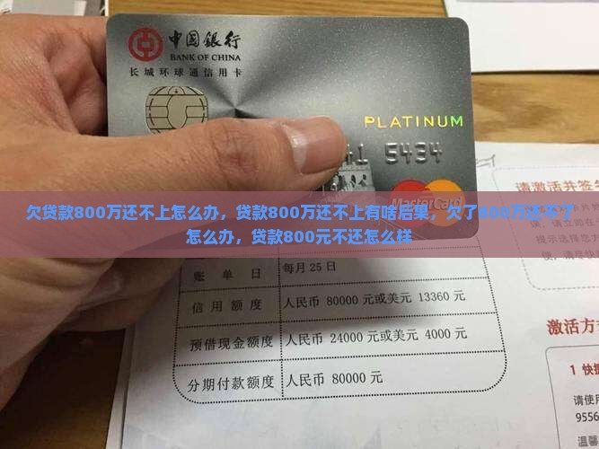 欠贷款800万还不上怎么办