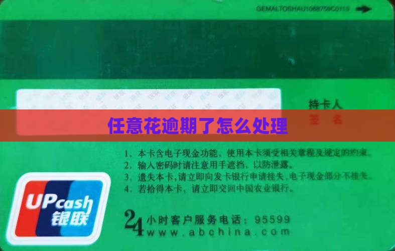 任意花还不上后果怎么处理