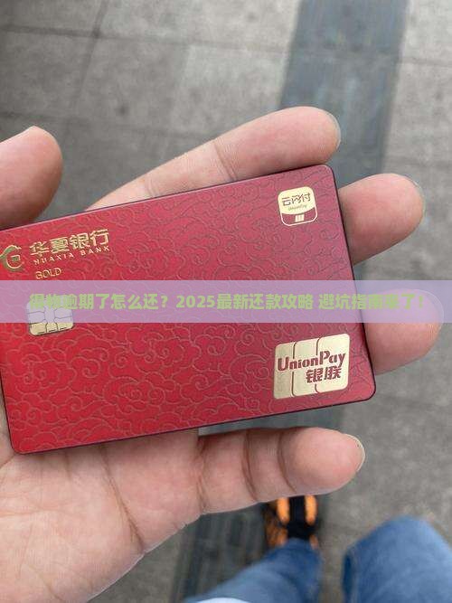 得物先还逾期部分如何操作