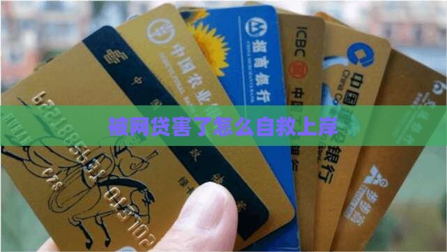 被网贷害了怎么上岸
