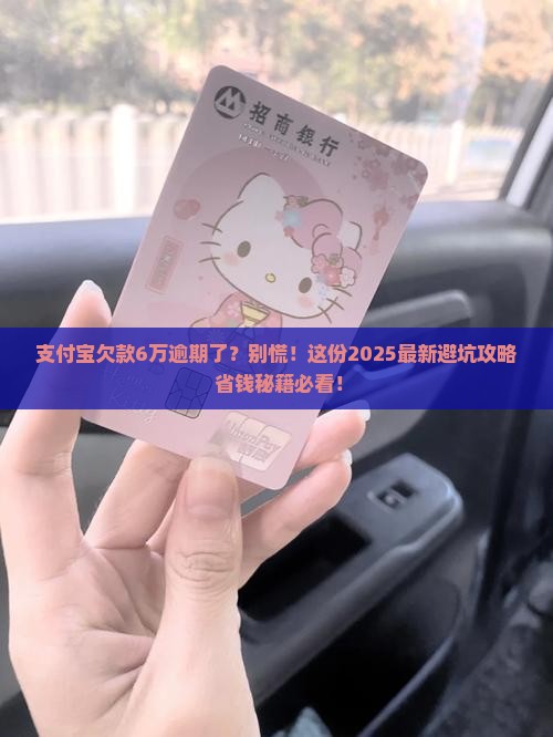 支付宝逾期逾期6万催收怎么办