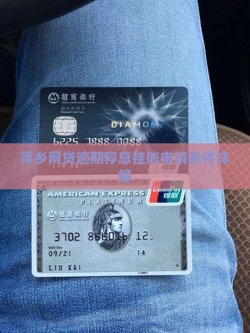 萍乡网贷逾期停息挂账申请条件解析