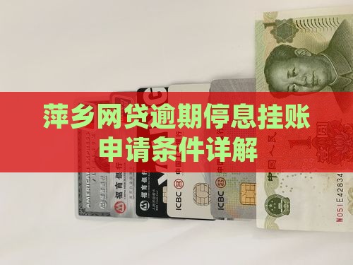 萍乡网贷逾期停息挂账申请条件解析