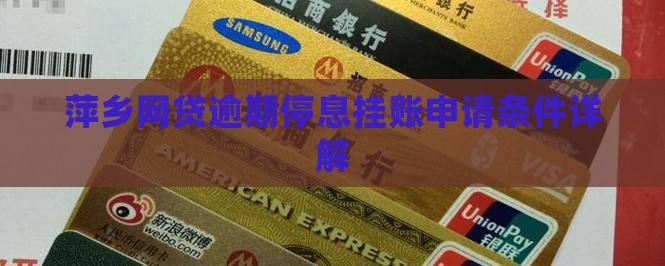 萍乡网贷逾期停息挂账申请条件解析