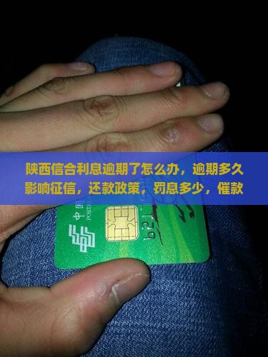 陕西信合利息逾期了怎么办