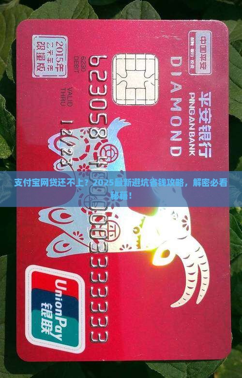 还不了支付宝网贷怎么办