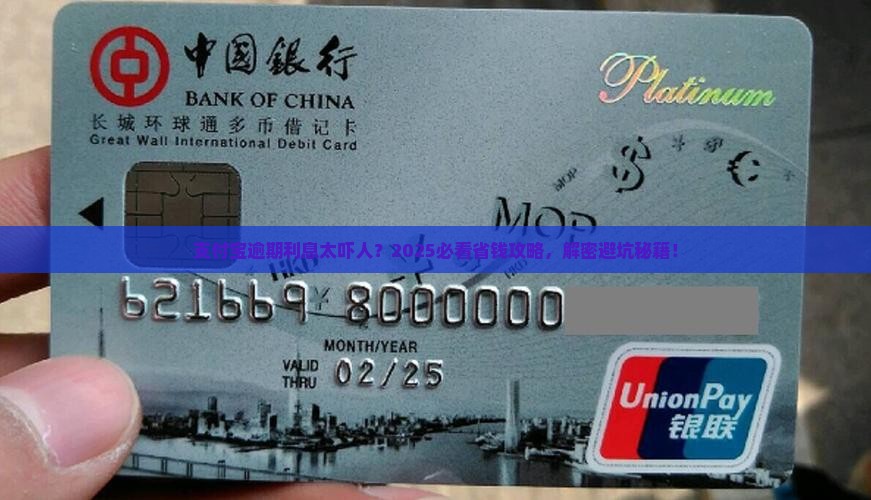 支付宝逾期不还利息怎么办理