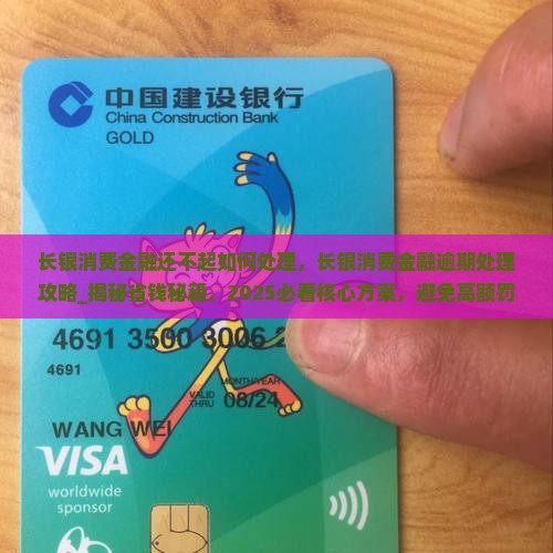长银消费金融还不起如何处理