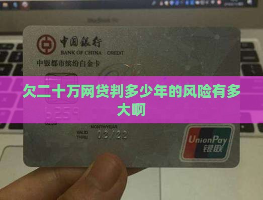 欠二十万网贷判多少年的风险有多大