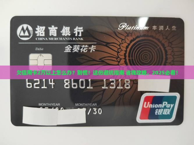 欠信用卡2万以上如何处理