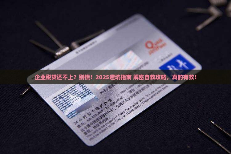企业税贷无力偿还怎么办