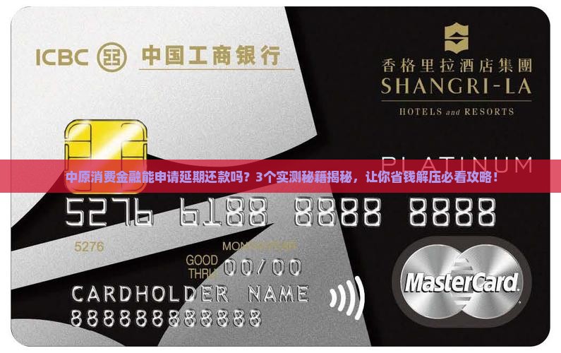 中原消费金融能申请延期还款吗怎么解决