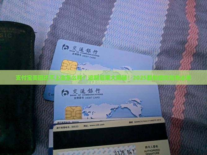 支付宝美团还不上会怎么样