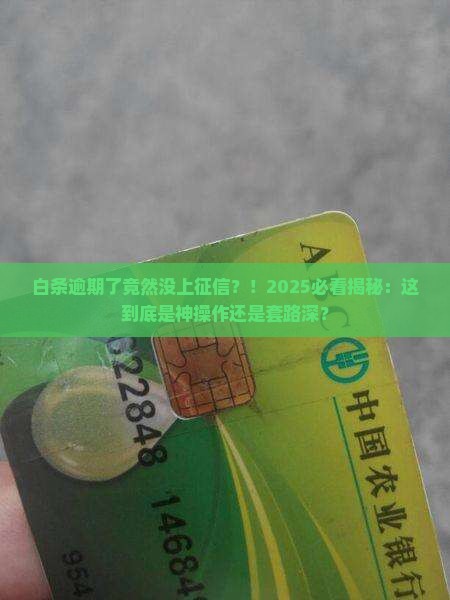 白条逾期怎么不上征信报告