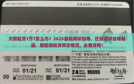 欠微粒贷1万7