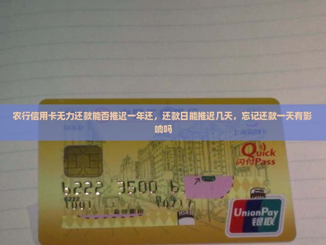 农行信用卡无力还款能否推迟一年还