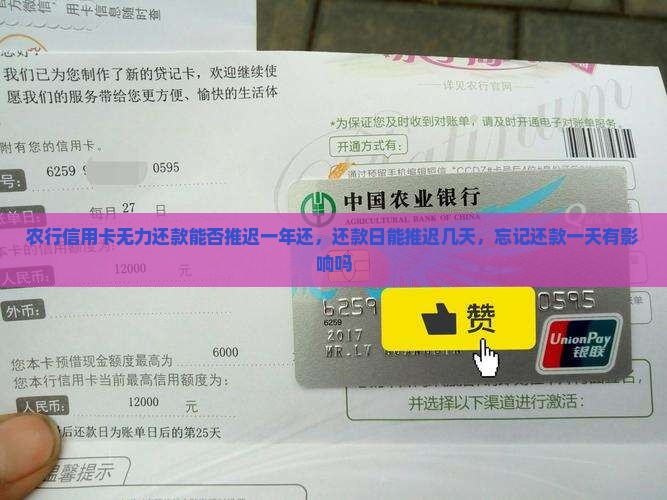农行信用卡无力还款能否推迟一年还