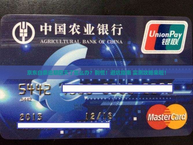 京东白条逾期四天了怎么办