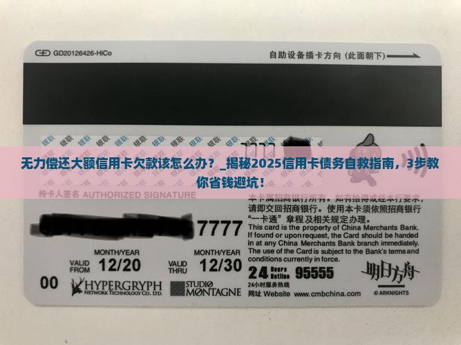 无力偿还大额信用卡欠款该怎么办