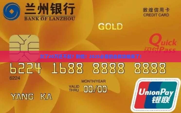现在欠银行20万还不起了怎么办