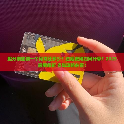 趣分期逾期一个月需要还多少钱
