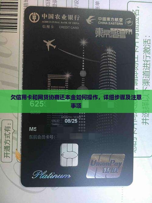 欠信用卡和网贷协商还本金如何操作