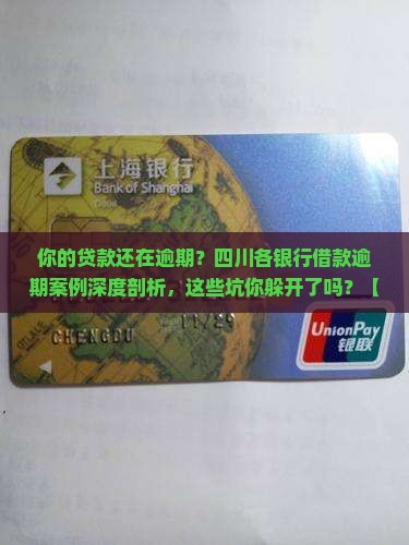 四川各银行借款逾期案例分析