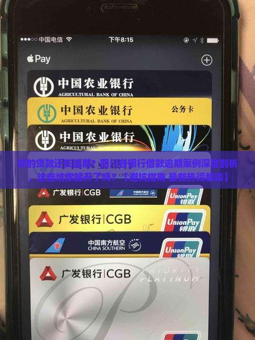 四川各银行借款逾期案例分析