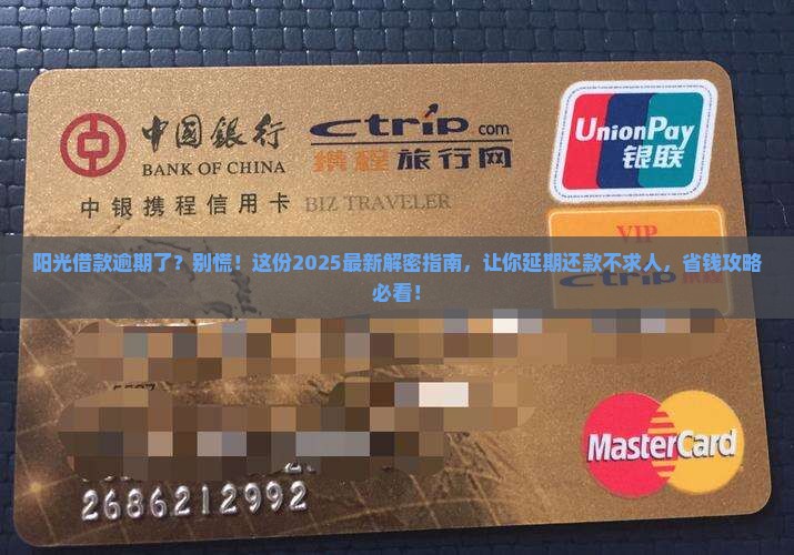 阳光借款逾期怎么办理延期还款