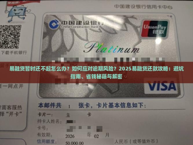 易融贷暂时还不起应该怎么办